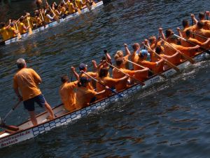 rowers in a dragon boat race