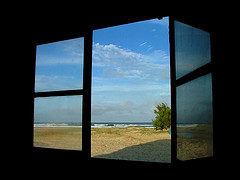 looking-out-window